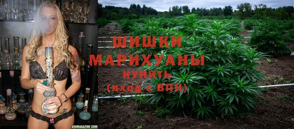 дурь Лиски
