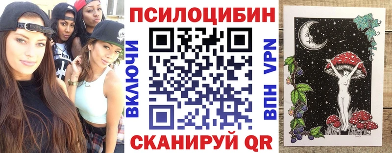 Галлюциногенные грибы MAGIC MUSHROOMS  даркнет клад  Галич 